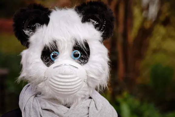 Casino Hot Line Tacaíocht